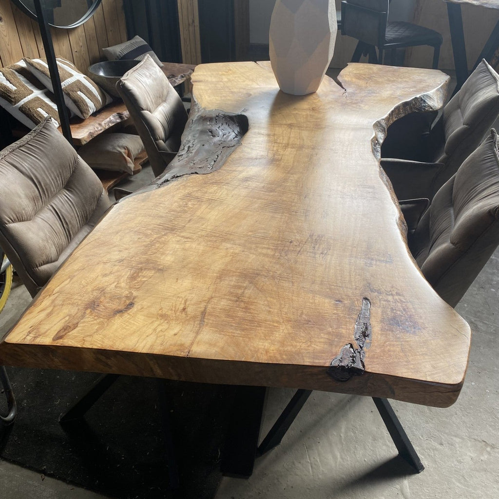 Boomstamtafel Tess