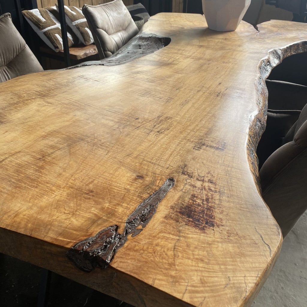 Boomstamtafel Tess