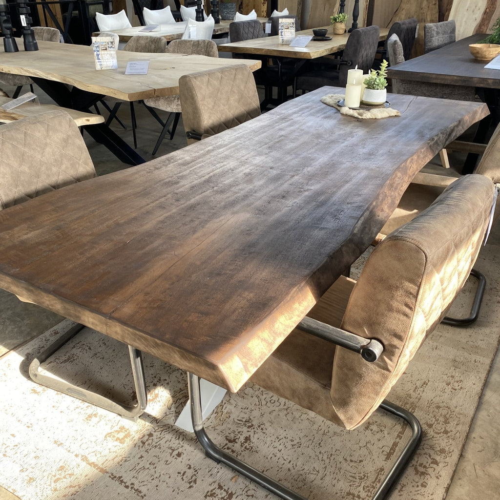 Boomstamtafel Christa